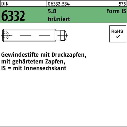 Gewindestift DIN 6332 Form IS Zapfen/Innensechskant IS M 6x30 5.8 brüniert 10St.