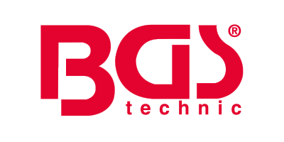 BGS