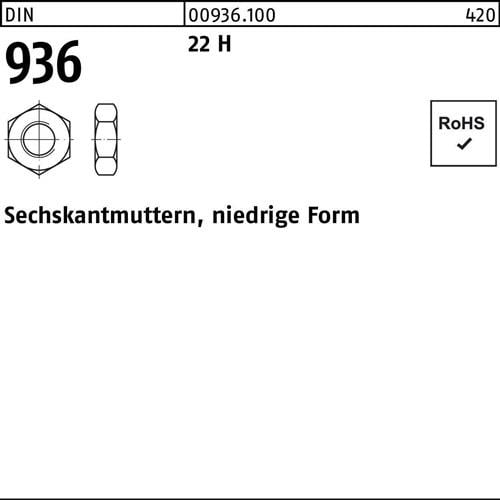 Sechskantmutter DIN 936 M10 22 H 100 Stück