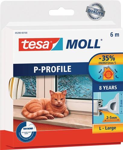 Tesa Fenster-/Türmoll Tesamoll 5390 B9 mm x H5,5 mm x L6 m - 05390-00100-00