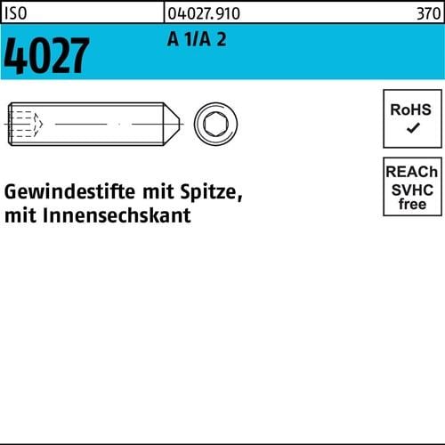 Gewindestift ISO 4027 Spitze/Innen-6kt M10x 20 A 2 100 Stück