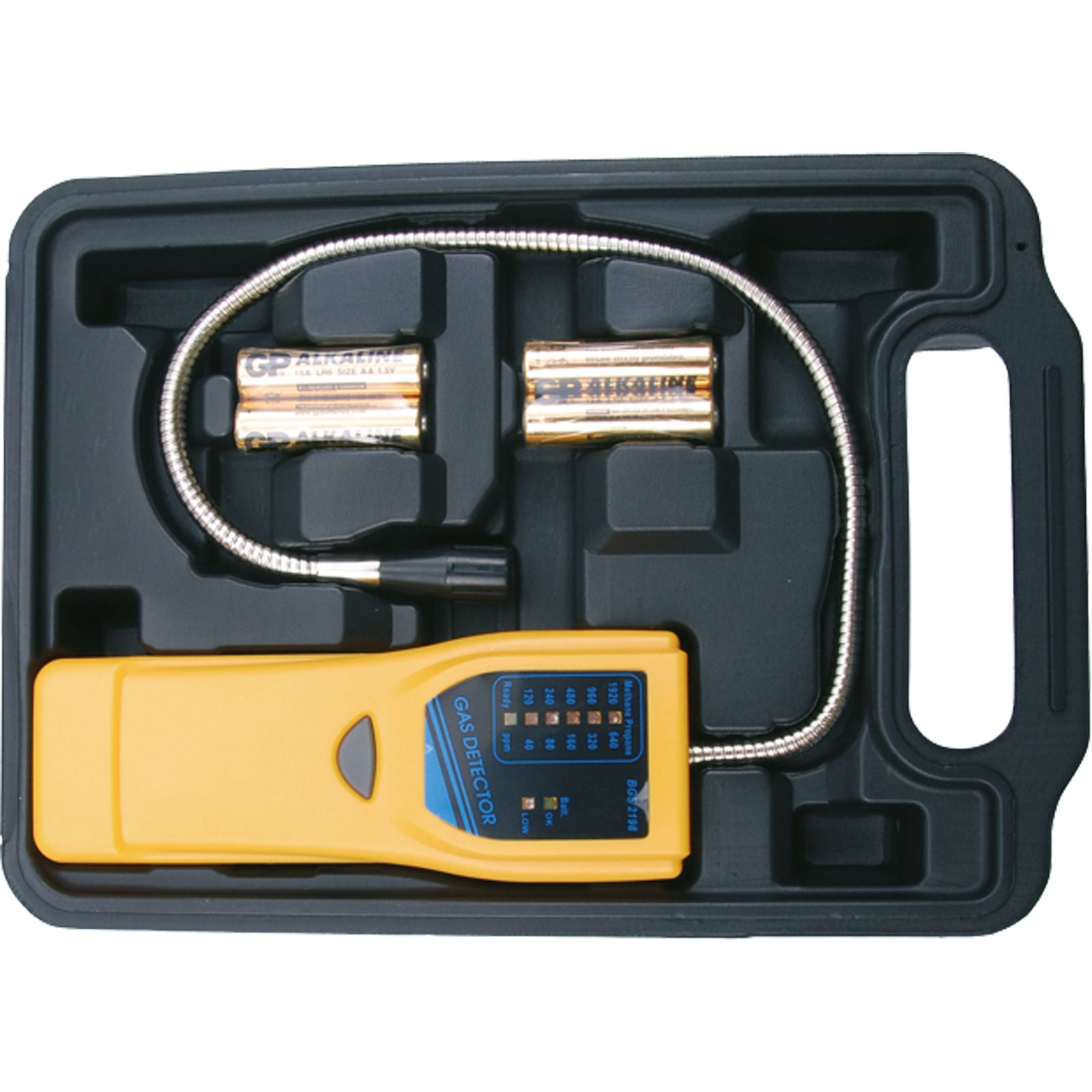 BGS Gasdetektor - 2198