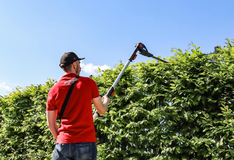 Präzises Schneiden mit dem Walter Heckenschneider Walter Heckenschneider im Einsatz an einer Hecke