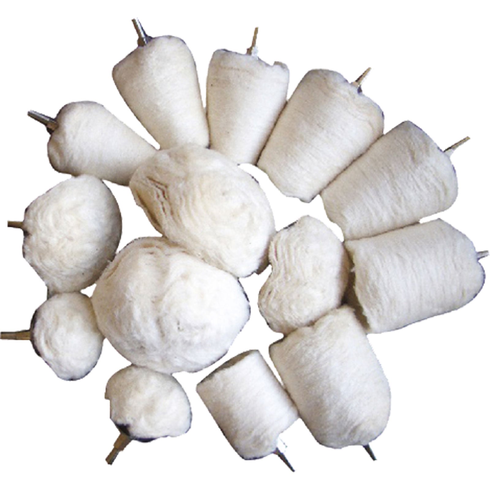 BGS Polierköpfe-Sortiment Antrieb 6,3 mm (1/4") 14tlg. - 3995