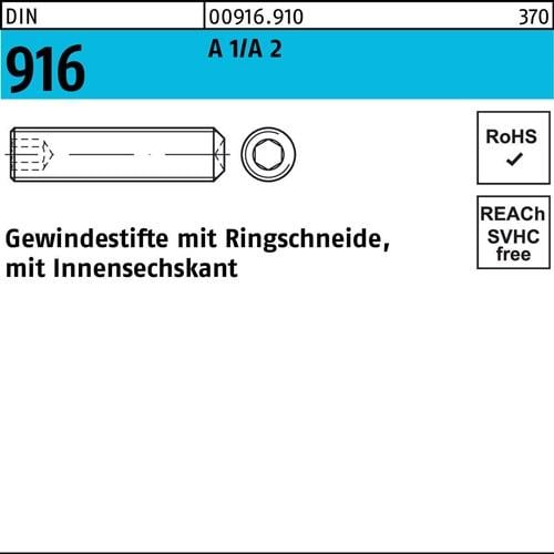 Gewindestift DIN 916 Ringschn./Innen-6kt M2x 6 A1/A2 500 Stück