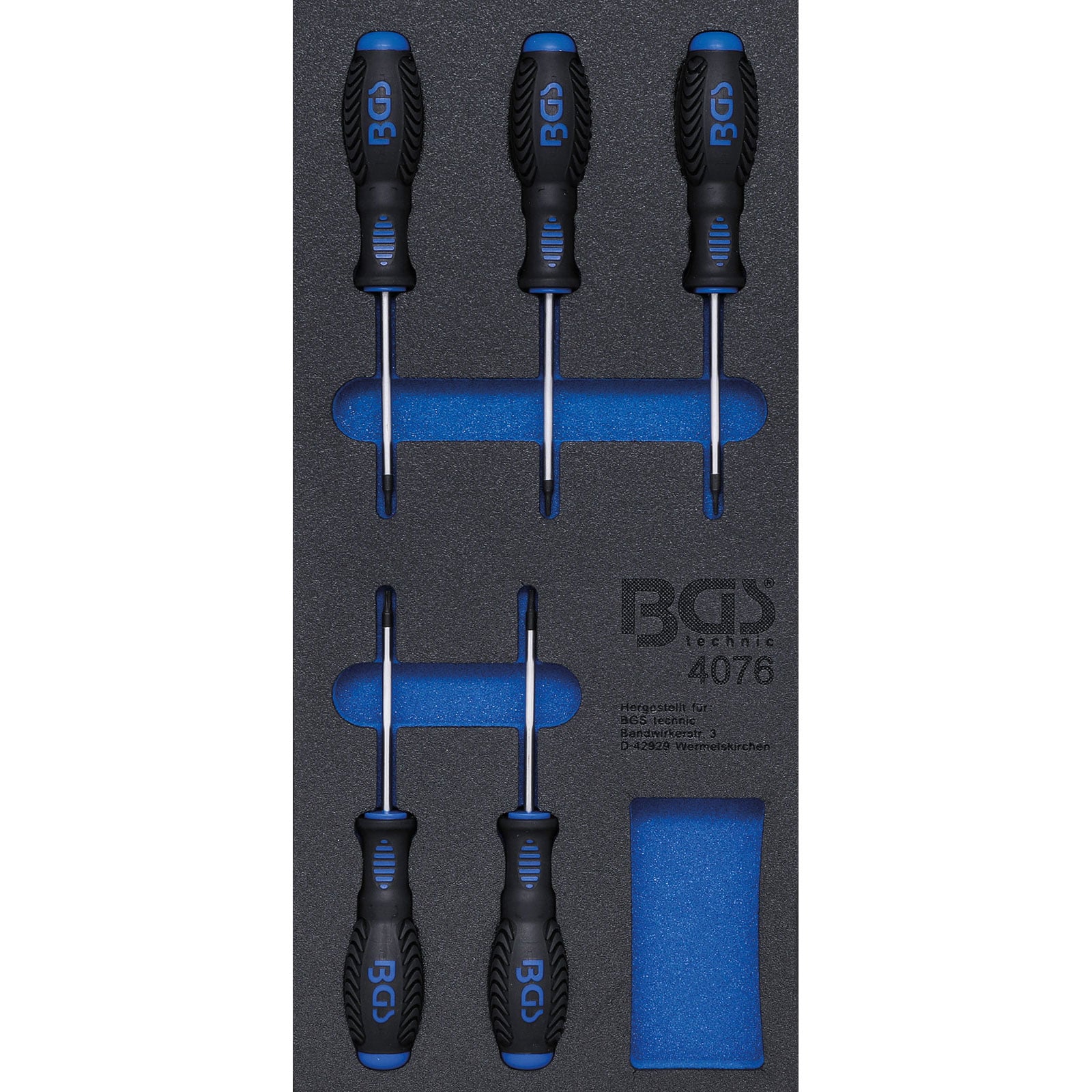 BGS Werkstattwageneinlage 1/3: Schraubendreher T-Profil (für Torx) 5tlg. - 4076