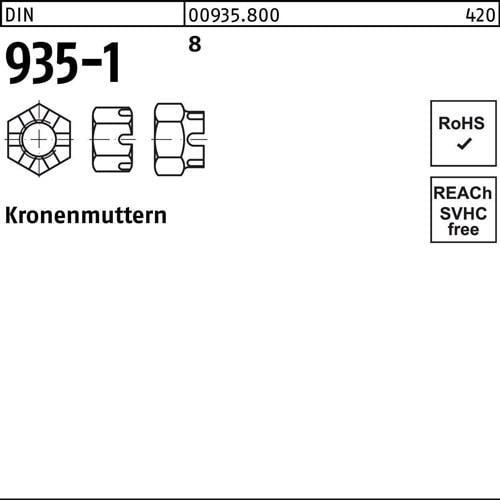 Kronenmutter DIN 935-1 M12 SW 19 8 100 Stück